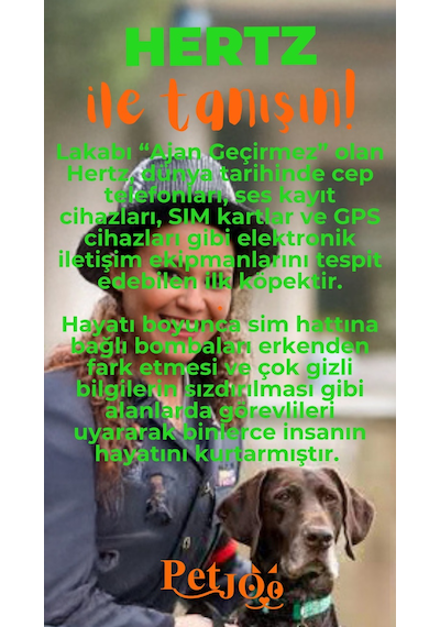 Petjoo 26.Hertz Turuncu-Yeşil Qr'lı Köpek Künyesi