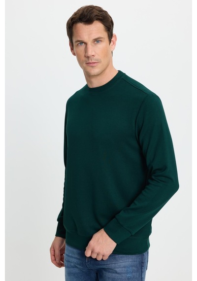 Tudors Erkek Relax Fit Rahat Kesim Uzun Kollu Ekstra Yumuşak Bisiklet Yaka Yeşil Sweatshirt-41873 Yeşil