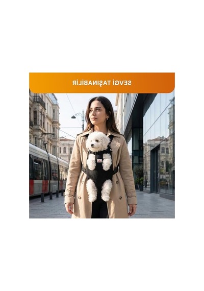 3.1 Phillip Lim Askılı Taşıma Çantası, 1,5-3 Kg Evcil Hayvanlar İçin Konforlu Tasarım 0233 Orangeblue Cat