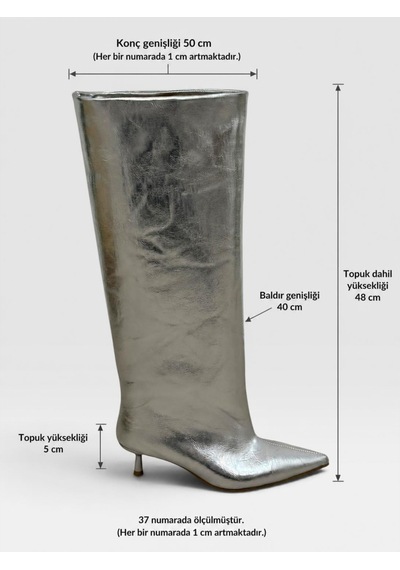 Erva'nın Butiği Gümüş Cilt Veray Xl Oversize Kalın Baldır 5 Cm Mini Topuk Çizme-6397