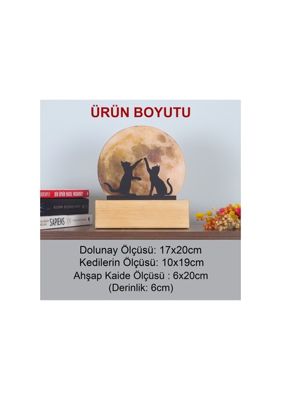 Led Işıklı Pleksi Dolunay Kişiselleştirilebilir Dekoratif Biblo Harvey Kediler Anahtar Askılığı Sarı - 737322722 Sarı