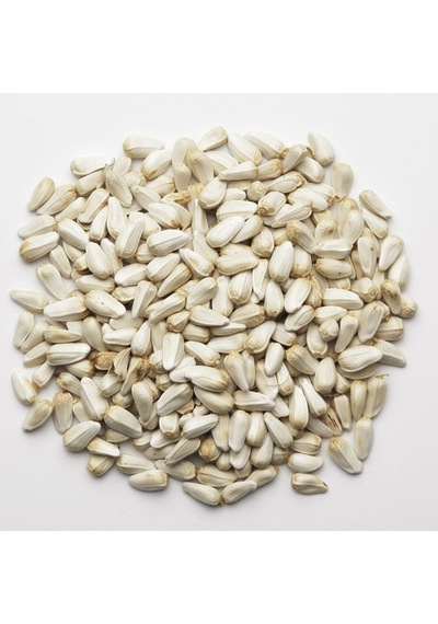 Sanita Haspir Tohumu 500 GR