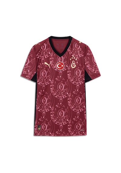 Galatasaray Puma 2025/2026 Alternatif Forma 77981303