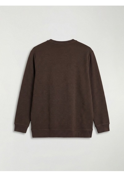 Lcw Eco Kahverengi Bisiklet Yaka Uzun Kollu Fitilli Erkek Sweatshirt