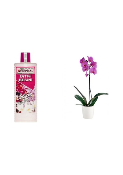 Tropikal Orkide Besin Bitkisi 6 Adet - 1000 Ml