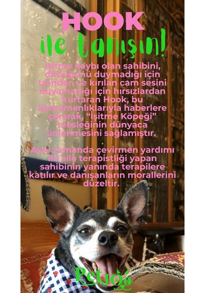 Petjoo 7.Hook Yeşil-Pembe Qr'lı Köpek Künyesi
