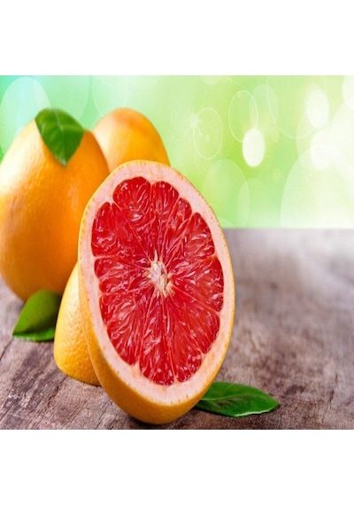 Tüplü Yarı Bodur Riored Altıntop Greyfurt Fidanı