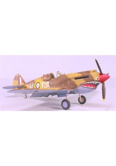1/48 Curtiss P-40b Warhawk Savaş Uçağı Maketi, Trumpeter 02807