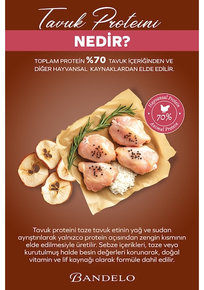 Bandelo Tavuklu Yavru Kuru Kedi Maması 2 Kg - Gelişim & Güçlü Desteği - Koku Önleyici Etkili