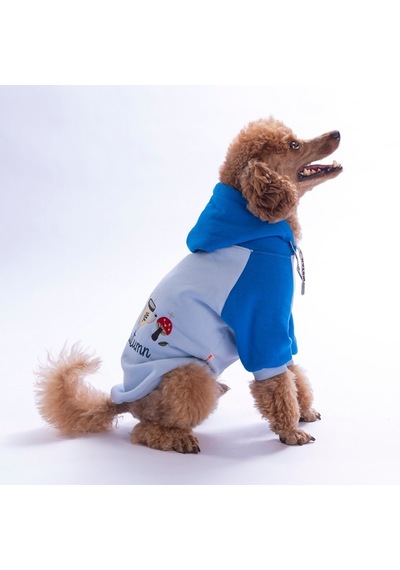 Mavi Vermont Autumn Köpek Hoodie Köpek Sweat Köpek Kıyafeti Kedi Kıyafeti