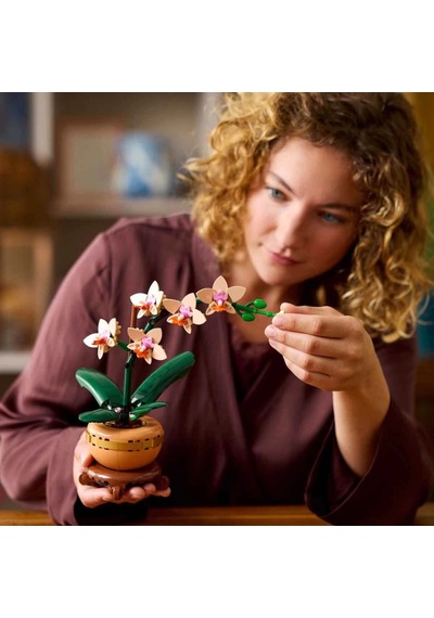 Botanicals Mini Orkide 10343 Standart