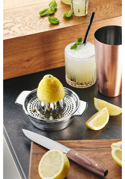 Tr 13970 Limon Narenciye Sıkacağı Genel