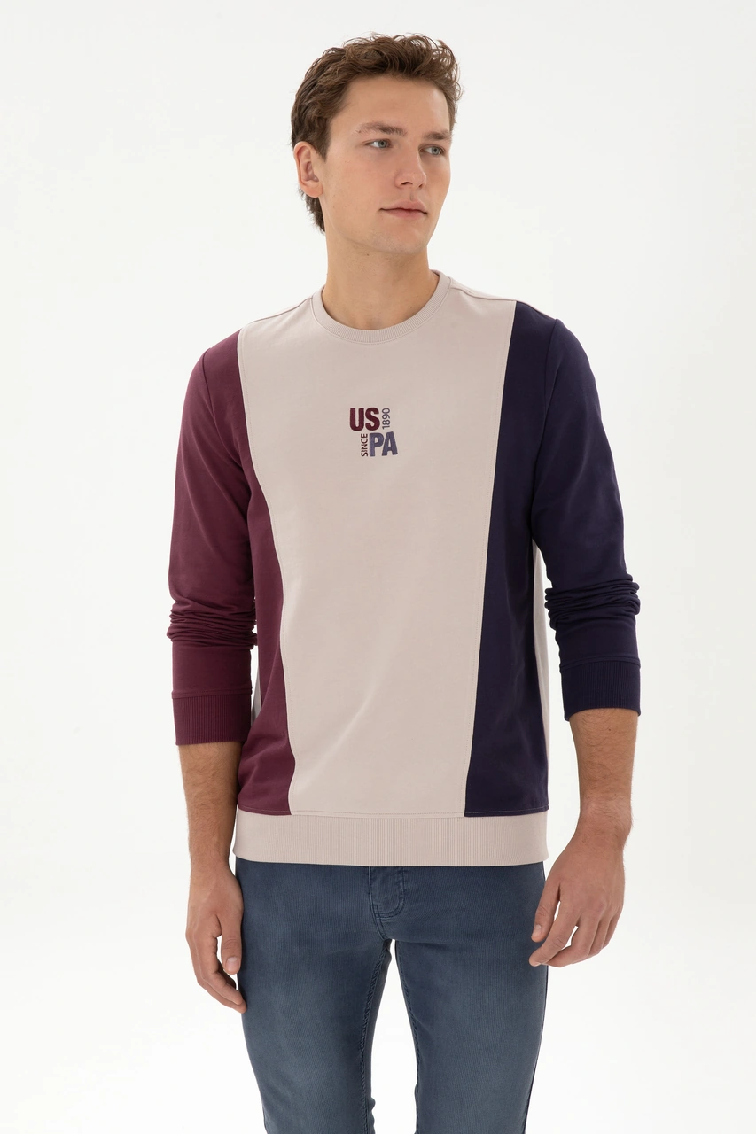 U.S. Polo Assn. Erkek Regular Fit Bisiklet Yaka Taş İnce Sweatshirt 50316379-VR049