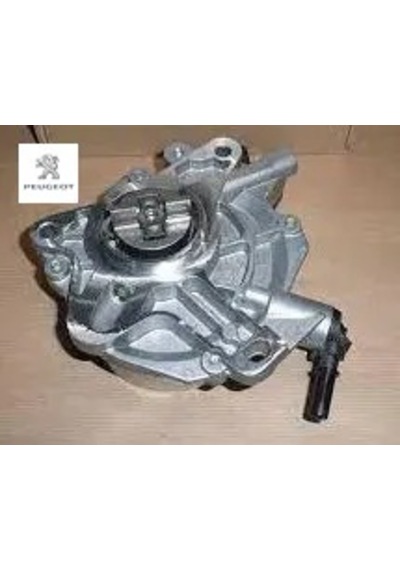 Vakum Pompasi Bxr-iii -3008-5008-308-508-traveller-expert4 Euro6 9674192280