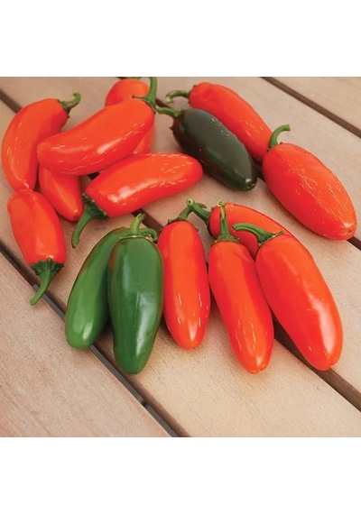 Nadir Doğal Çok Acı Gialla Jalapeno Biber Tohumu 10 Tohum