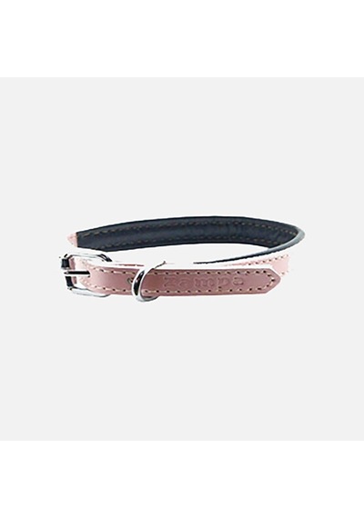 Zampa Köpek Boyun Tasması Pembe 35 Cm
