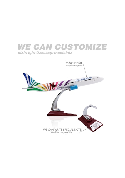 Zekupp - Maket Uçak - Boeing 737-800 1/100 - RENKLİ ÖZEL TASARIM Model Uçak