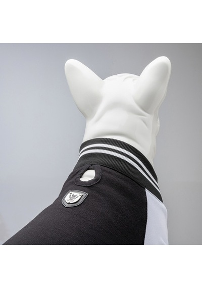 College Brooklyn Küçük Orta Ve Büyük Irk Köpek Sweatshirt