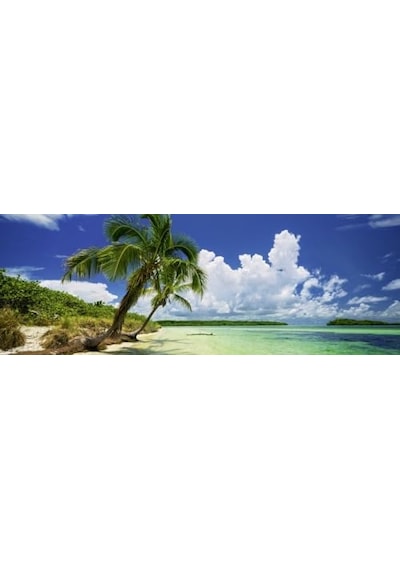 Heye Puzzle Paradise Palm 2000 Parça Panorama