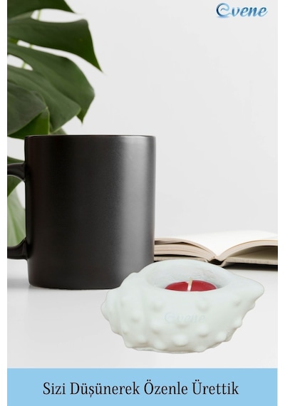 Mumluk Şamdan Tealight Mum Uyumlu Deniz Kabuğu Model - Beyaz