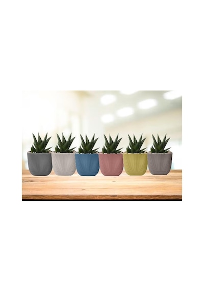 Omnipazar Krs-384 Dekoratif Plastik Mercan Kare Saksı 4 Lt 6 Renk Set