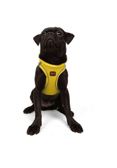 Tailpetz Air-mesh Küçük Ve Orta Irk Kedi Köpek Göğüs Tasması - Yumuşak, Nefes Alabilir, Dayanıklı Sarı, M Sku: Zeusb0clpj5wys Açık Bej - Bej Tailpetz Air-mesh Küçük Ve Orta Irk Kedi Köpek Göğüs Tasması - Yumuşak, Nefes Alabilir, Dayanıklı Sarı, M Sku: Zeusb0clpj5wys Açık Bej - Bej