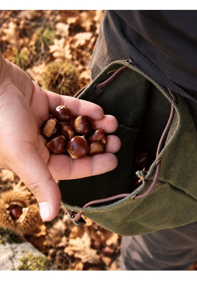 Bushcraft Orman Kesesi