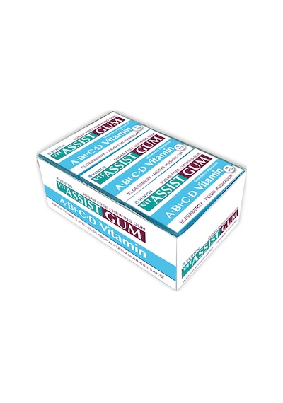 Vit-Assist Gum A,B1,C ve D Vitaminli Sakız