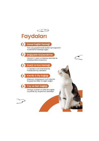Kediler İçin Multivitamin