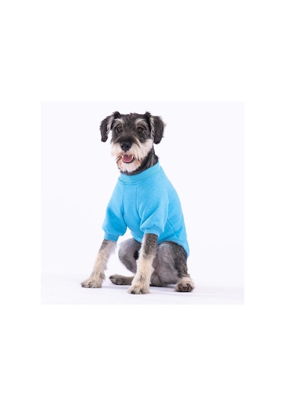 Pawstar Turkuaz Power Polarlı Küçük Irk Köpek Sweatshirtü