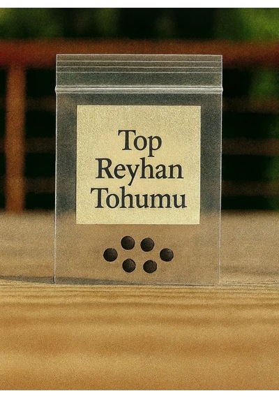 Top Reyhan Yetiştirme Seti 25 Adet Topreyhan Tohumu + Saksı + Toprak