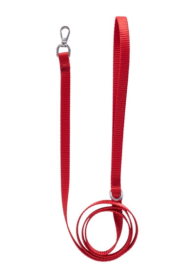 Solid Color Leash Pembe - Pudra