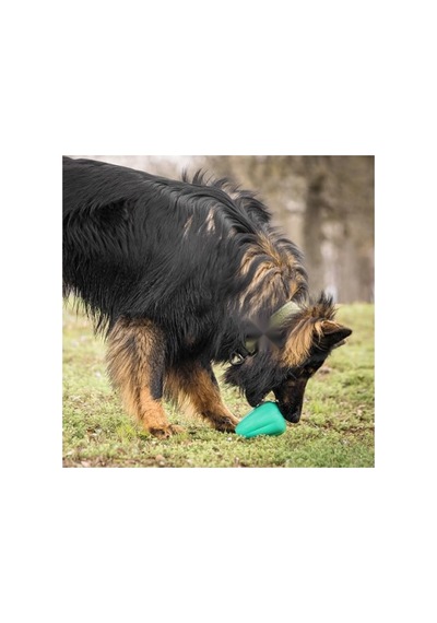 Doğal Kauçuk Malzemeden Üretilmiş Xl Boy Köpek Oyuncağı - 2'li Paket