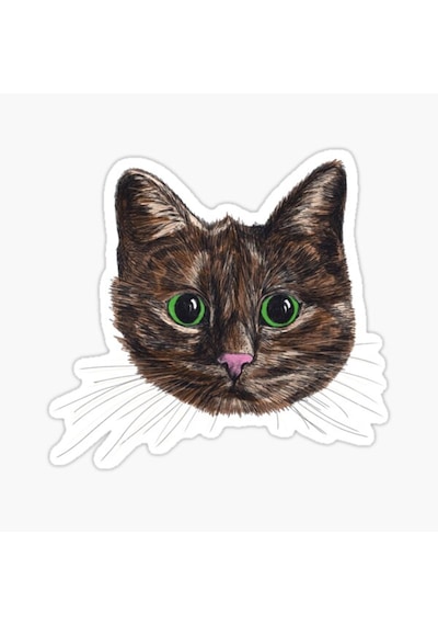 Oto Ufak Bebek Kedi Araba Sticker Etiket Renkli V1