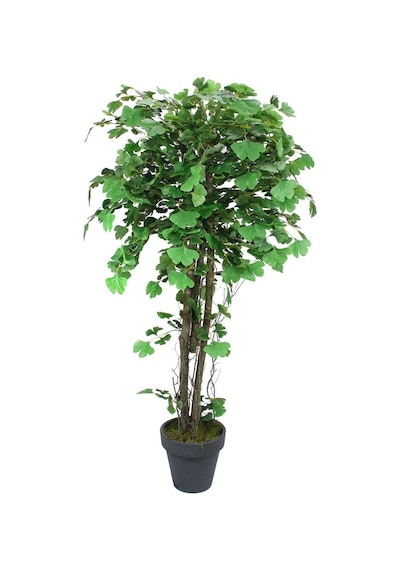 Yapay Mabet Ağacı 170 cm