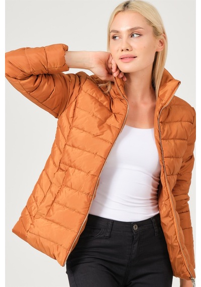 Dewberry Bayan Mont Z6746