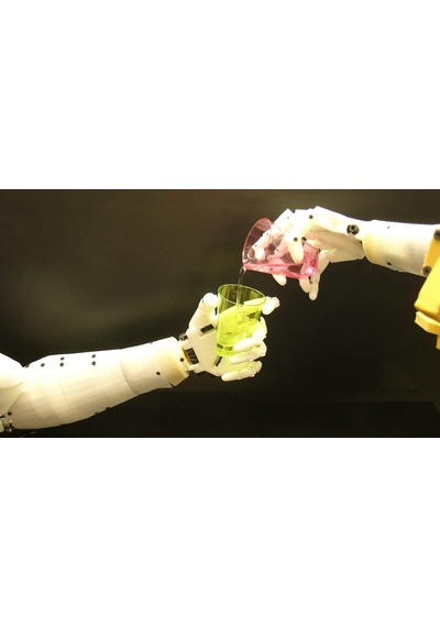 Robot El Inmoov