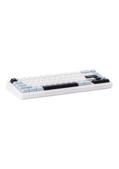 Aula F65 Reaper Switch Mekanik Rgb Tkl Makrolu Hot Swap Kablosuz Klavye Buz Mavisi