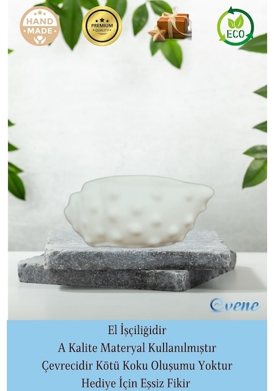Mumluk Şamdan Tealight Mum Uyumlu Deniz Kabuğu Model - Beyaz