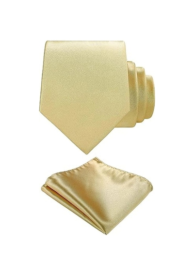 Tezzgelsin Erkek Saten Kravat Mendil Ve Gold Çelik Kravat İğne Set Şampanya