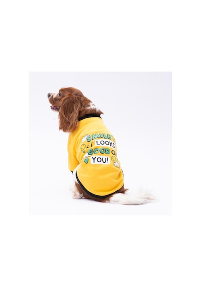Sarı Loviisa Sweat Kedi Köpek Sweat- Kedi Köpek Kıyafeti