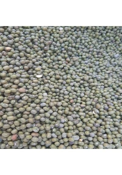 Bahcemdenonline Yerli Maş Fasulyesi 2 Kg