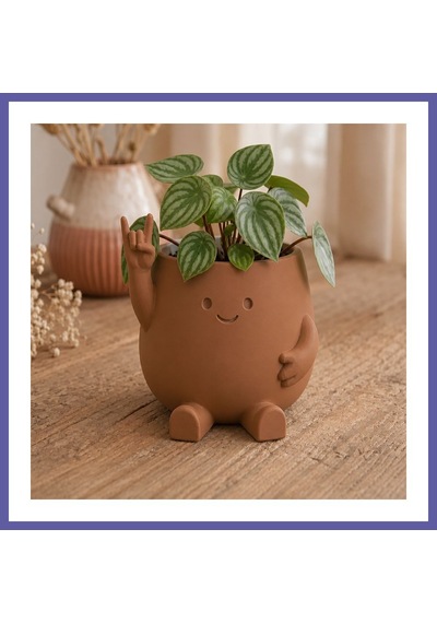 Bezos 3d Baskı Smiley Face Planter - Gülümseyen Karakterli Saksı-kahverengi Nıda