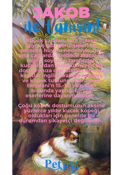 Petjoo 8.Jakob Mavi-Pembe Qr'lı Köpek Künyesi