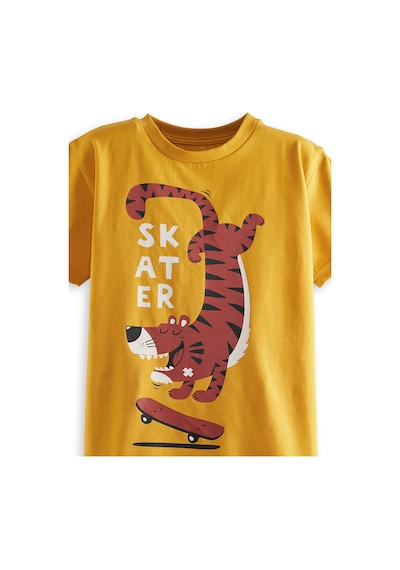 Denokids Skater Erkek Çocuk 2'li T-shirt Takım Renkli Çok Renkli