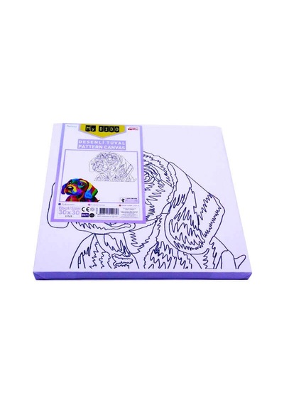 Südor Tuval Mydido 30x30 Cm Desenli