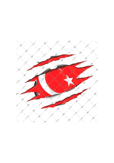 Bay Etiket Rfhlm66 Reflektif Yirtik Metal Desenli Ay Yildiz Etike