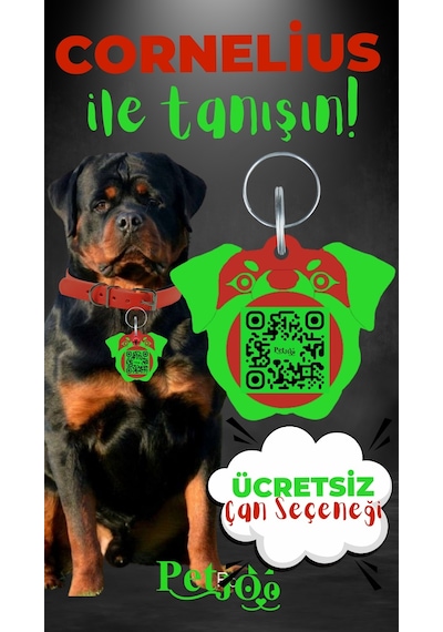 Petjoo 20.Cornelius Yeşil-Kırmızı Qr'lı Köpek Künyesi