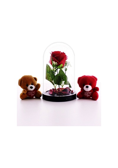 Fanusta Led Işıklı Kırmızı Gül Ve 2 Adet Mini Ayıcıklar Set Sevgiliye Hediye 01c