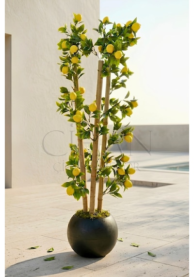Cihan Çiçekçilik Yapay Limon Bambu Ağacı - Siyah Küre Saksılı 100 Cm